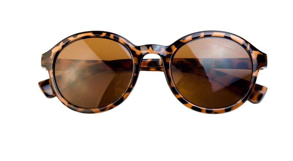 Trending Eyeglasses for the Fall 2026